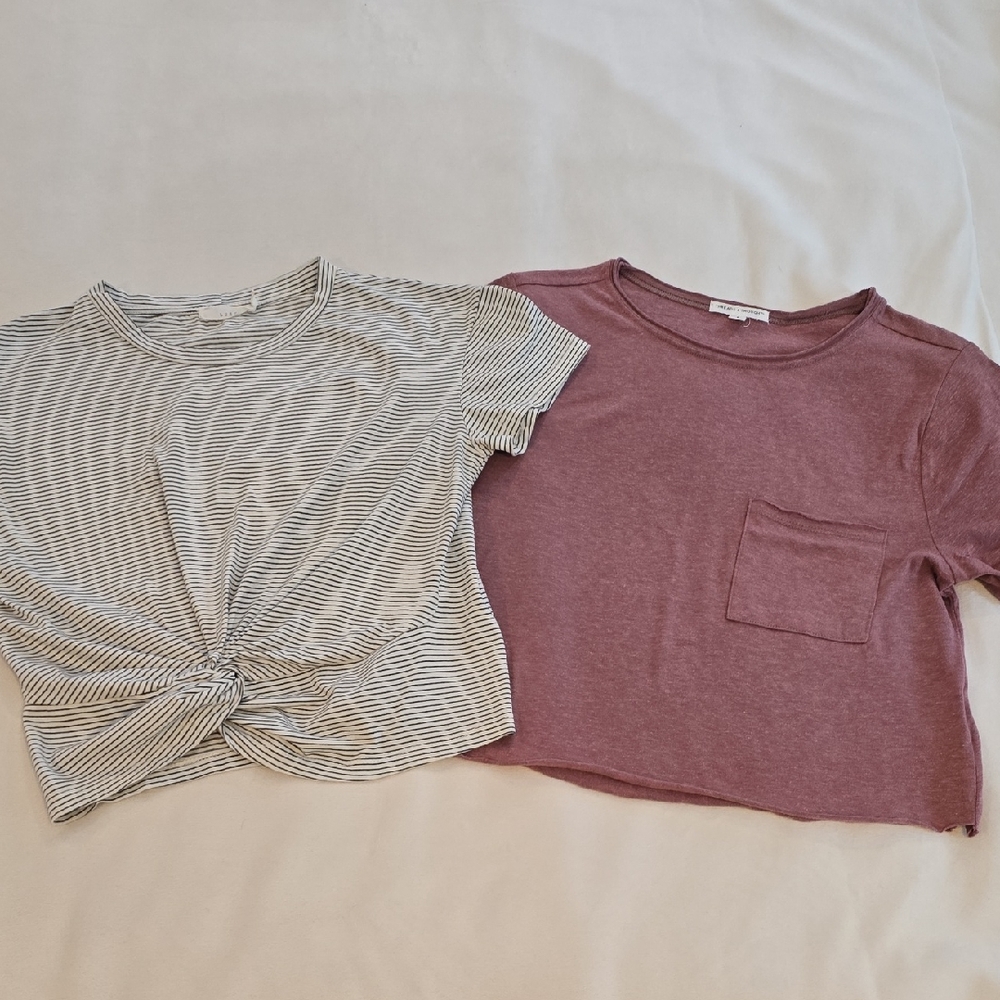 Lot Of 2 Crop T-Shirts